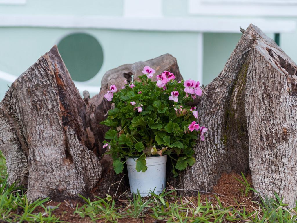 Bee'S Knees Retreat Villa Pesadha Bagian luar foto